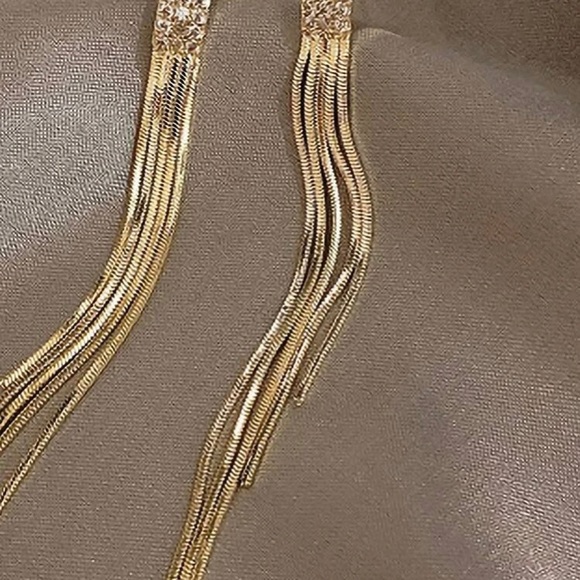 Rhinestone Long Tassel Drop Earrings - Picture 3 of 4